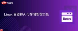 Linux 容器持久化存储管理实战