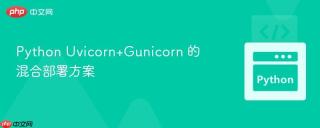 Python Uvicorn+Gunicorn 的混合部署方案