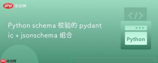 Python schema 校验的 pydantic + jsonschema 组合