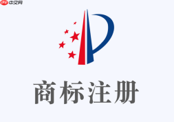 中国商标网官方查询官网入口_国家知识产权局中国商标网查询系统入口