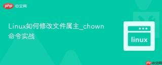 Linux如何修改文件属主_chown命令实战