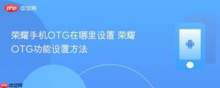 荣耀手机OTG在哪里设置 荣耀OTG功能设置方法