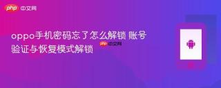 oppo手机密码忘了怎么解锁 账号验证与恢复模式解锁