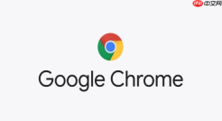 谷歌浏览器官网入口网址_谷歌Chrome浏览器官方入口地址详解