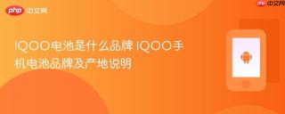 iqoo电池是什么品牌 iqoo手机电池品牌及产地说明
