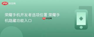 荣耀手机开发者选项位置 荣耀手机隐藏功能入口