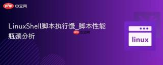 linuxshell脚本执行慢_脚本性能瓶颈分析
