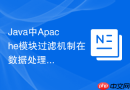 Java中Apache模块过滤机制在数据处理中的应用实践