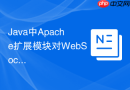 Java中Apache扩展模块对WebSockets协议的兼容配置