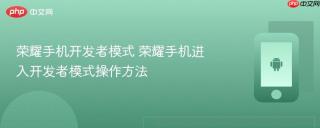 荣耀手机开发者模式 荣耀手机进入开发者模式操作方法