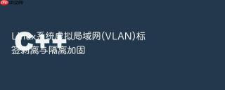 Linux系统虚拟局域网(VLAN)标签剥离与隔离加固