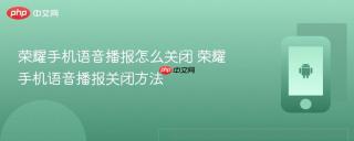 荣耀手机语音播报怎么关闭 荣耀手机语音播报关闭方法