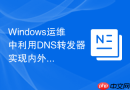 Windows运维中利用DNS转发器实现内外网解析逻辑优化
