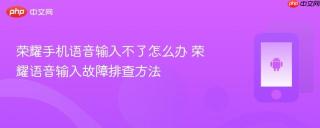 荣耀手机语音输入不了怎么办 荣耀语音输入故障排查方法