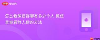怎么看微信群聊有多少个人 微信里查看群人数的方法