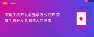 荣耀手机开发者选项怎么打开 荣耀手机开发者调试入口设置