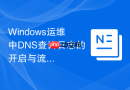 Windows运维中DNS查询日志的开启与流量异常分析