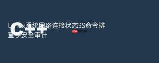 linux系统网络连接状态ss命令排查与安全审计
