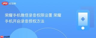 荣耀手机微信录音权限设置 荣耀手机开启录音授权方法
