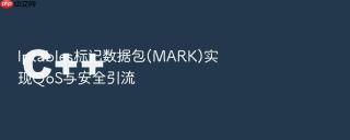 Iptables标记数据包(MARK)实现QoS与安全引流