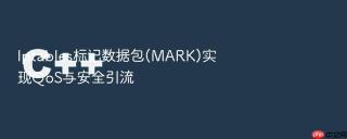 iptables标记数据包(mark)实现qos与安全引流