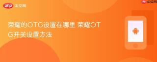 荣耀的otg设置在哪里 荣耀otg开关设置方法