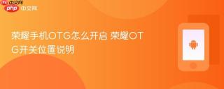 荣耀手机otg怎么开启 荣耀otg开关位置说明