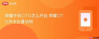 荣耀手机OTG怎么开启 荣耀OTG开关位置说明