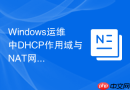 Windows运维中DHCP作用域与NAT网关地址的协同逻辑