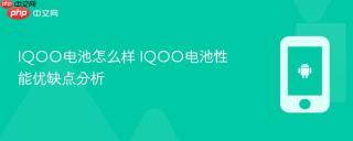 IQOO电池怎么样 IQOO电池性能优缺点分析