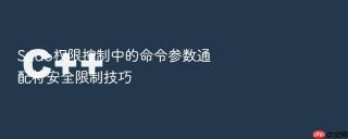 Sudo权限控制中的命令参数通配符安全限制技巧