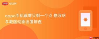 oppo手机截屏只剩一个点 悬浮球与截图动画设置排查