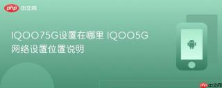 IQOO75G设置在哪里 IQOO5G网络设置位置说明