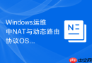 Windows运维中NAT与动态路由协议OSPF的配合应用