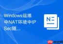Windows运维中NAT环境中IPSec隧道建立的兼容性调整