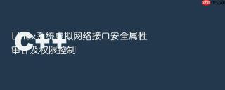 linux系统虚拟网络接口安全属性审计及权限控制