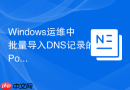 Windows运维中批量导入DNS记录的PowerShell脚本编写