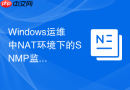 Windows运维中NAT环境下的SNMP监控与OID信息获取