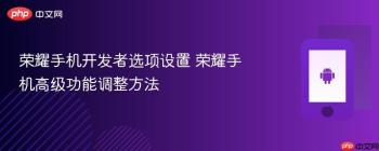 荣耀手机开发者选项设置 荣耀手机高级功能调整方法