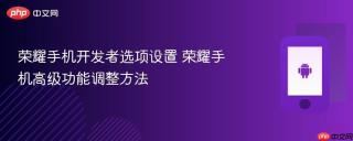 荣耀手机开发者选项设置 荣耀手机高级功能调整方法