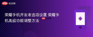 荣耀手机开发者选项设置 荣耀手机高级功能调整方法