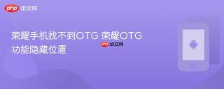 荣耀手机找不到otg 荣耀otg功能隐藏位置