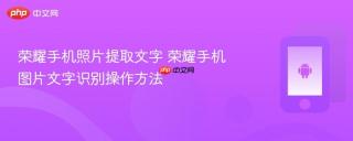 荣耀手机照片提取文字 荣耀手机图片文字识别操作方法