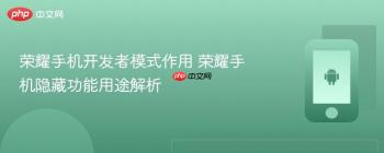 荣耀手机开发者模式作用 荣耀手机隐藏功能用途解析