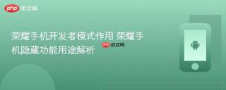 荣耀手机开发者模式作用 荣耀手机隐藏功能用途解析