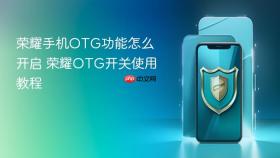 荣耀手机otg功能怎么开启 荣耀otg开关使用教程