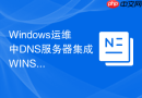 Windows运维中DNS服务器集成WINS查找的兼容性设置