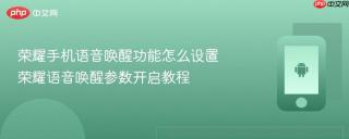 荣耀手机语音唤醒功能怎么设置 荣耀语音唤醒参数开启教程