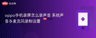 oppo手机录屏怎么录声音 系统声音与麦克风录制设置