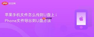 苹果手机文件怎么传到u盘上 iphone文件导出到u盘方法